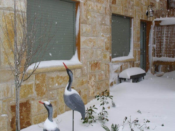 אהבה בגבהים בחורף (2).jpg