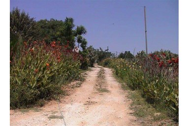 כפר נבון - מרכז אירוח - סוויטות לזוגות