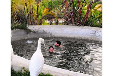 כפר נבון - מרכז אירוח