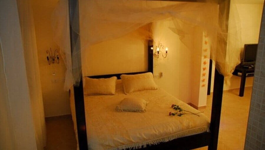 שלוות המדבר התאנה (4).jpg