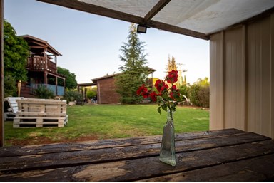 נופים בדישון 