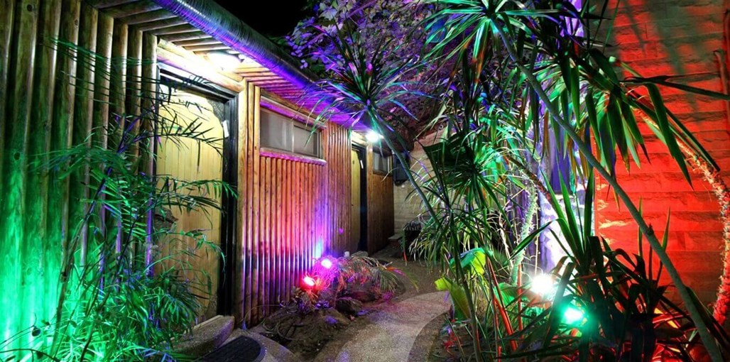 סאנסט אין דף הבית (2).jpg