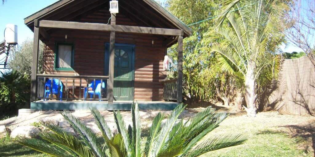 צימרים בכרם הזיתים החצר והבריכה (19).jpg