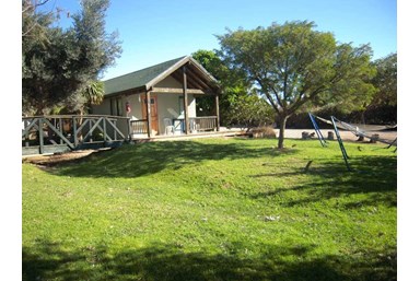 צימרים בכרם הזיתים  - החצר והבריכה 