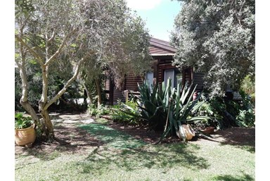 הבקתה של דלילה - הכחולה של הים