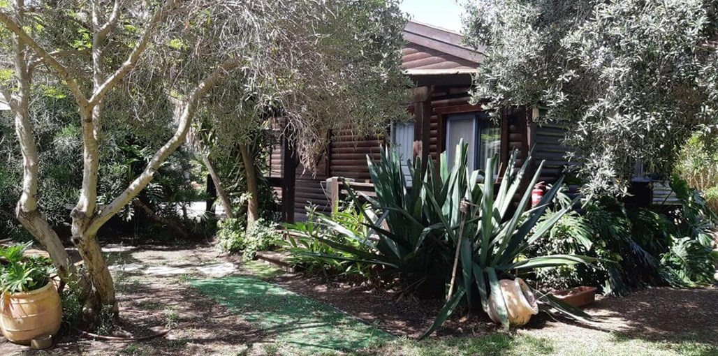 הבקתה של דלילה הכחולה (10).jpeg