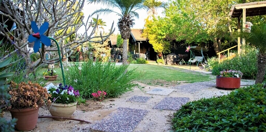 זהר בדשא זהר בדשא (44).jpg