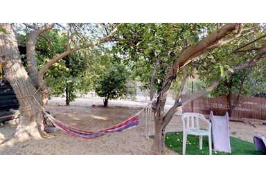 זהר בדשא - בקתות העץ