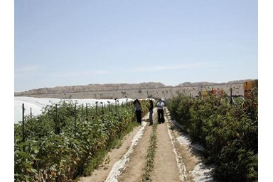 חאן פאטה מורגנה - טיולי ג'יפים