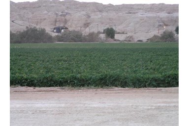 חאן פאטה מורגנה - סיורים