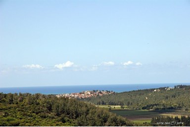 סוד הקסם הגלילי - החצר והנוף