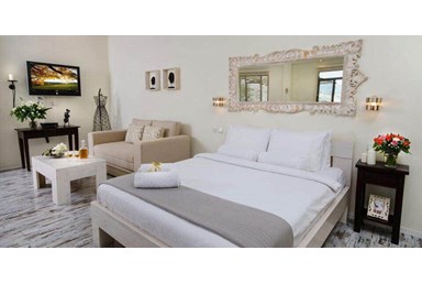 סוויטות ירוק זית