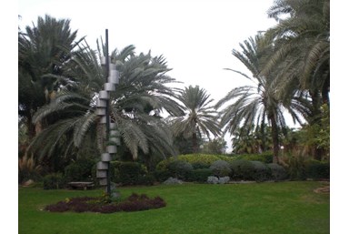 כפר הנופש קליה - חצר ונוף