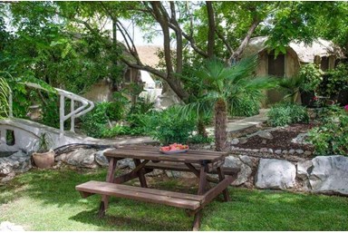 הפירמידה - הבריכה והחצר 