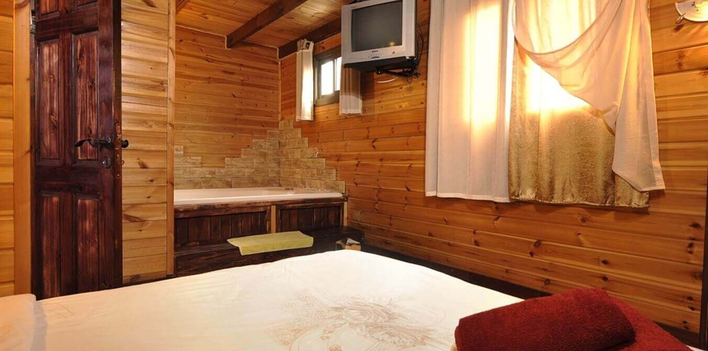 אלוני חן דקל (9).jpg