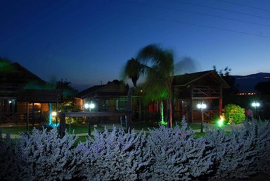 אלוני חן - החצר 