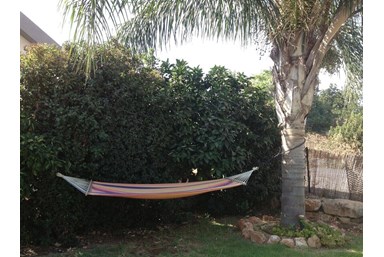 אלוני חן - החצר 