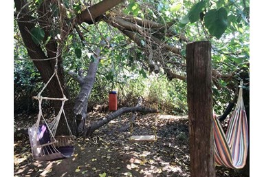 העיגול הפנימי - הגינה והמרחבים