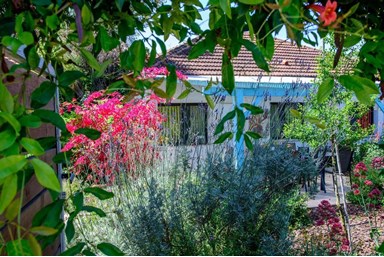 העיגול הפנימי - בית נופש