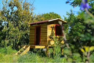 העיגול הפנימי - הגינה והמרחבים