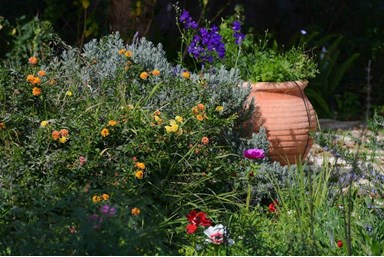 העיגול הפנימי - הגינה והמרחבים