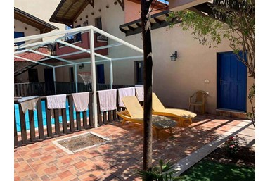 הדקל והפקאן - החצר והבריכה