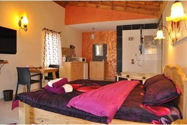 הדקל והפקאן - יחידת הוילה