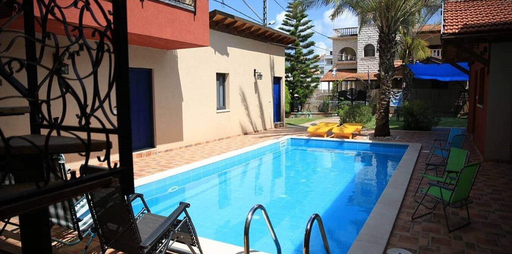 הדקל והפקאן חצר (1).JPG