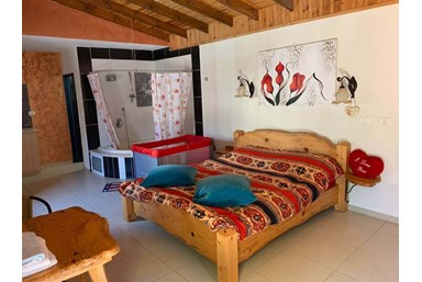 הדקל והפקאן - יחידות האירוח