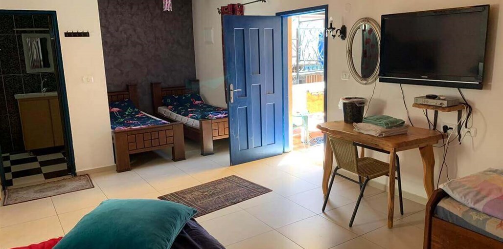 הדקל והפקאן הדקל והפקאן - יוני 2020 (2).jpeg