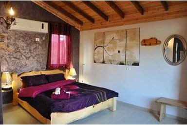 הדקל והפקאן - יחידות האירוח