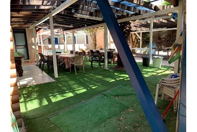 הדקל והפקאן - החצר והבריכה