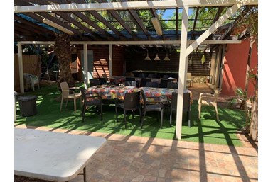 הדקל והפקאן - החצר והבריכה