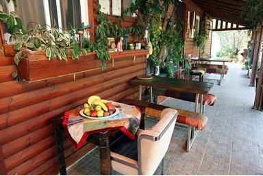 בין עצי הדובדבן