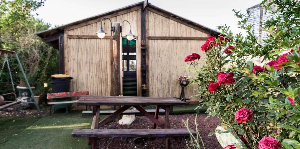 בין עצי הדובדבן גינה וגקוזי (8).jpg