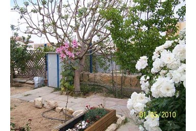 צימר פאני - גינה