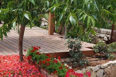 צימר ירושלים של זהב - החצר והנוף