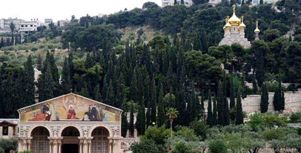 צימר ירושלים של זהב החצר והנוף (7).jpg