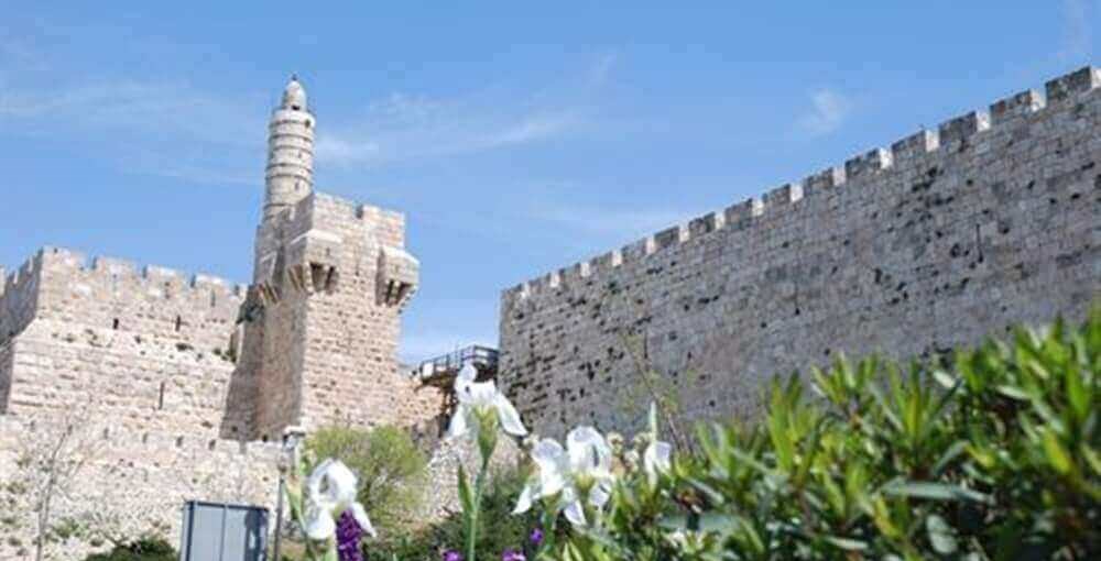 צימר ירושלים של זהב סביבה (4).jpg