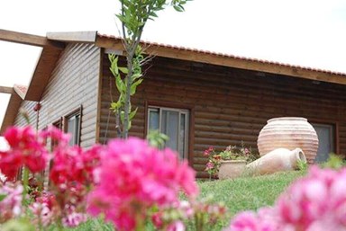 צימר ירושלים של זהב - סוויטת ערמון 