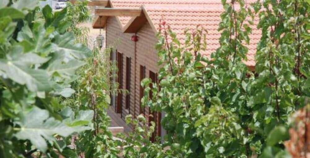 צימר ירושלים של זהב ערמון.jpg