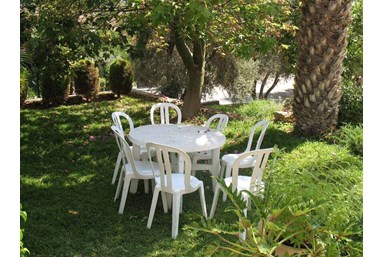 פנינת הכפר - החצר והבריכה