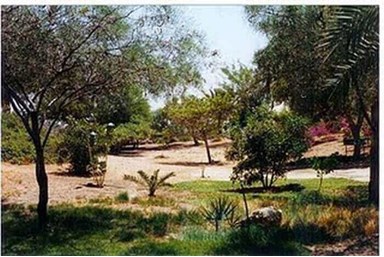 חלום בדרום - אטרקציות בסביבה