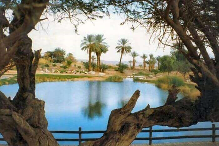 חלום בדרום אטרקציות בסביבה (8).jpg