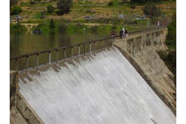 אברהמי נוף האגם