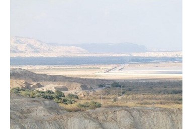 נוף תמר