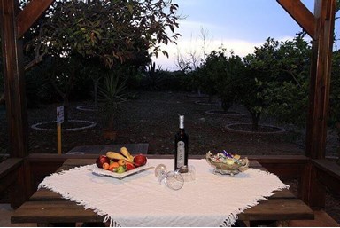 זוהר של זיכרונות - הבריכה 