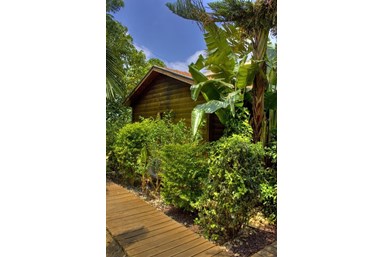 זוהר של זיכרונות - החצר והנוף 