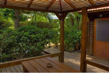 זוהר של זיכרונות - הבריכה 