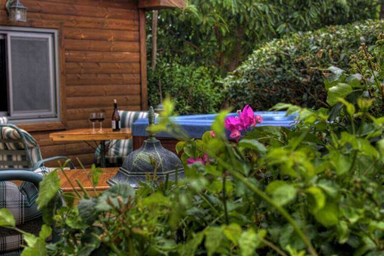 זוהר של זיכרונות - הבריכה 